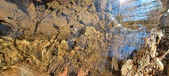 Enlarge photo 53
