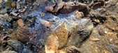 Enlarge photo 56