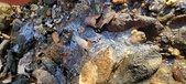 Enlarge photo 55