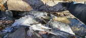 Enlarge photo 52