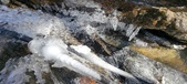 Enlarge photo 58