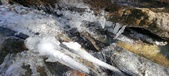 Enlarge photo 59