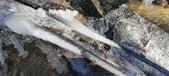 Enlarge photo 63