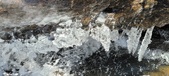 Enlarge photo 65