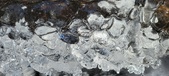 Enlarge photo 69