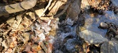 Enlarge photo 75