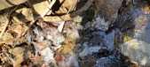 Enlarge photo 79