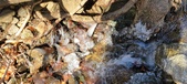 Enlarge photo 78