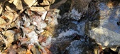 Enlarge photo 80