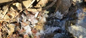 Enlarge photo 81