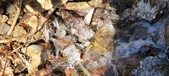 Enlarge photo 82