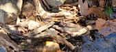 Enlarge photo 87