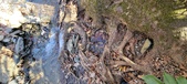 Enlarge photo 86