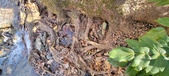 Enlarge photo 84