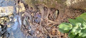 Enlarge photo 88
