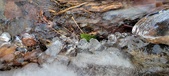 Enlarge photo 89