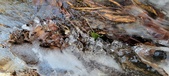 Enlarge photo 90