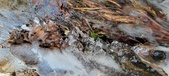 Enlarge photo 91