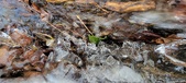 Enlarge photo 95