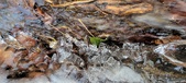 Enlarge photo 93
