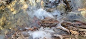Enlarge photo 92