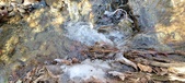 Enlarge photo 96