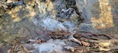 Enlarge photo 97