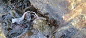 Enlarge photo 99