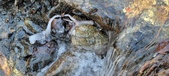 Enlarge photo 102