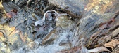 Enlarge photo 100