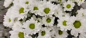 Enlarge photo 103