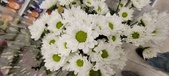 Enlarge photo 104