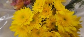 Enlarge photo 105