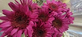 Enlarge photo 106