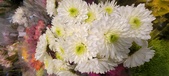 Enlarge photo 108
