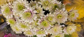 Enlarge photo 110