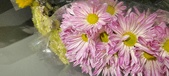 Enlarge photo 114