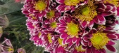 Enlarge photo 117