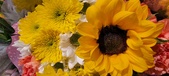 Enlarge photo 116