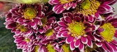 Enlarge photo 122