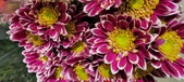 Enlarge photo 126