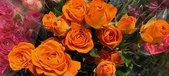 Enlarge photo 123