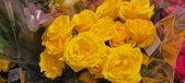 Enlarge photo 127