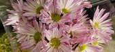 Enlarge photo 128