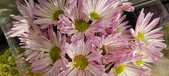 Enlarge photo 129