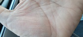 Enlarge photo 130