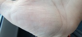 Enlarge photo 134