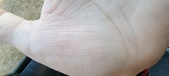 Enlarge photo 133
