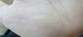 Enlarge photo 132