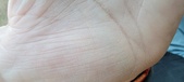 Enlarge photo 131